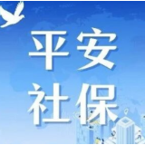 社会保险基金安全警示教育典型案例