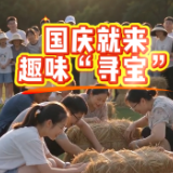 国庆来茶祖大道玩稻草堆里找鸡蛋啦！游客在活动期间任意消费，凭消费凭证即可参与，一分钟内稻草堆里找到的鸡蛋直接带回家！