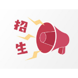 最新！茶陵县 2024 年普通高中招生政策出炉啦~
