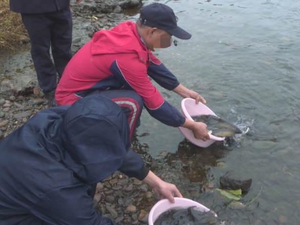 茶陵县开展公益诉讼增殖放流活动