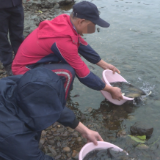 茶陵县开展公益诉讼增殖放流活动