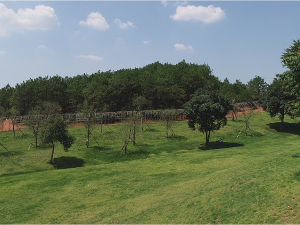 茶陵4个项目点亮湖南乡村旅游地图