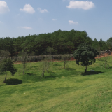 茶陵4个项目点亮湖南乡村旅游地图