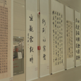 文艺赋美乡村 书法艺术作品进医院巡展