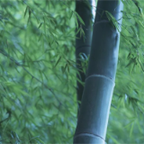 今日夏至：三忌、三宜、三避，过好盛夏15天