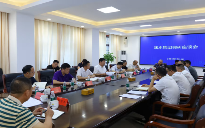 杨红兵到洣水集团开展调研座谈