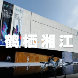 视频 | 鹤栖湘江