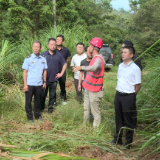 茶陵县开展废弃矿洞排查封堵整治