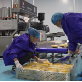 严塘镇玳溪村水果玉米加工车间正式投入试生产