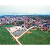 【代表风采】谭小兰:三十载扎根基层 把“民生清单”变成“幸福账单”