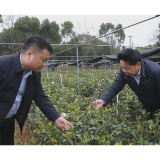 【委员风采】罗松:政协呼声落地 金融活水润乡