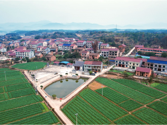 【代表风采】谭小兰：三十载扎根基层 把“民生清单”变成“幸福账单”