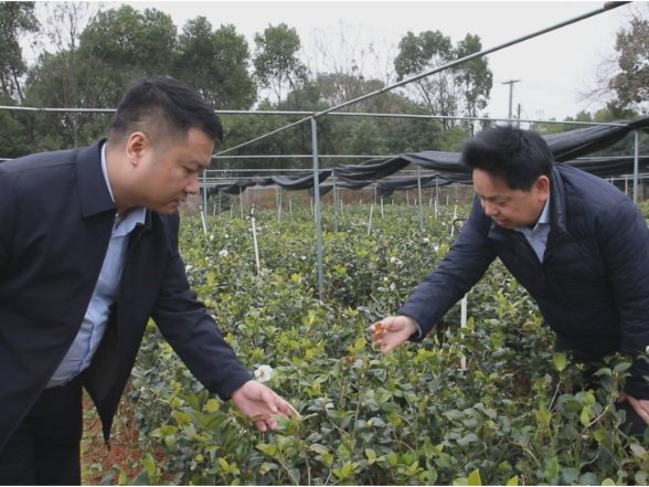 【委员风采】罗松：政协呼声落地 金融活水润乡