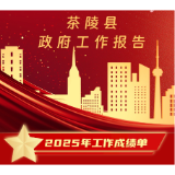 一图速览|茶陵县政府工作报告