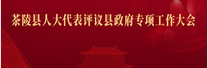 直播预告|2026年茶陵县人大代表评议县政府专项工作大会