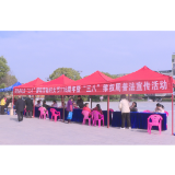 茶陵县多形式开展庆祝“三八”国际妇女节116周年活动