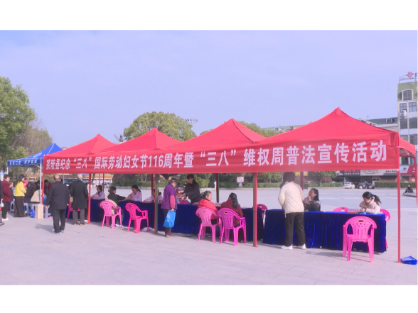 茶陵县多形式开展庆祝“三八”国际妇女节116周年活动