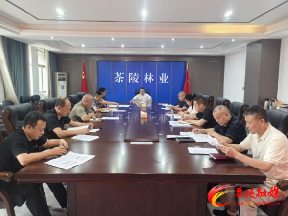 茶陵县林业局启动林业系统安全生产“大排查大整治”专项行动