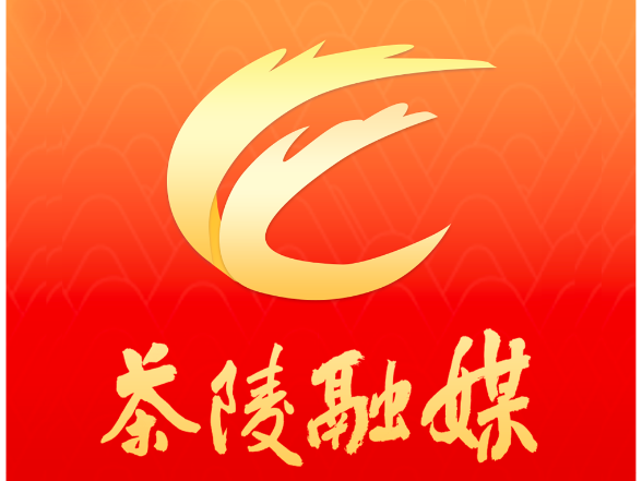 茶陵县启动“茶邻有议”金点子行动 ：听民声 聚民智 共筑“爱茶陵·幸福家”治理新格局