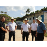 杨红兵调研乡村振兴及“驻点连片”试点帮扶工作