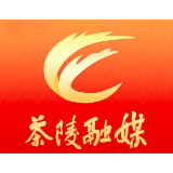 茶陵县启动“茶邻有议”金点子行动 ：听民声 聚民智 共筑“爱茶陵·幸福家”治理新格局