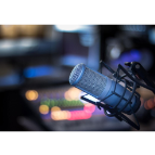 【第二十二期】《栾花闹秋》