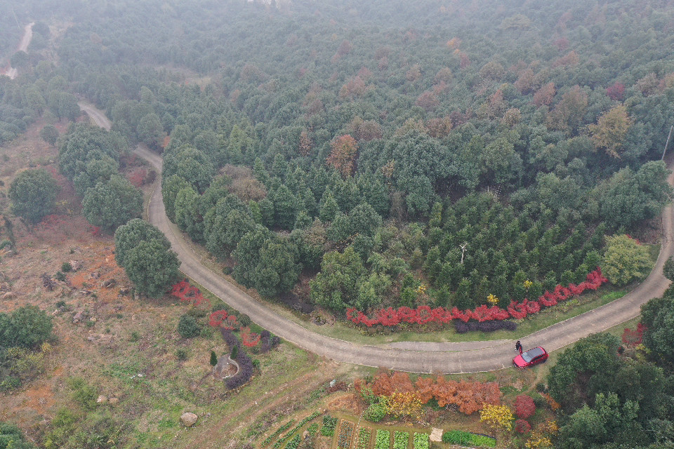 DJI_0835.jpg