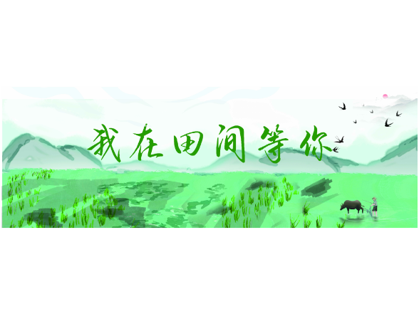 专题 | 我在田间等你