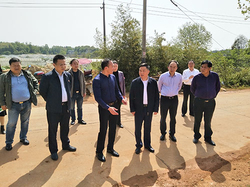 李江南华南现场会.jpg