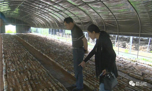 微信图片_20200721085439.jpg