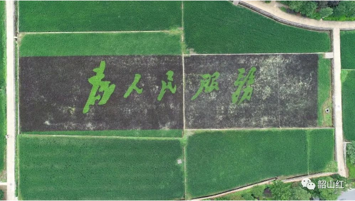 QQ截图20200709100130.png