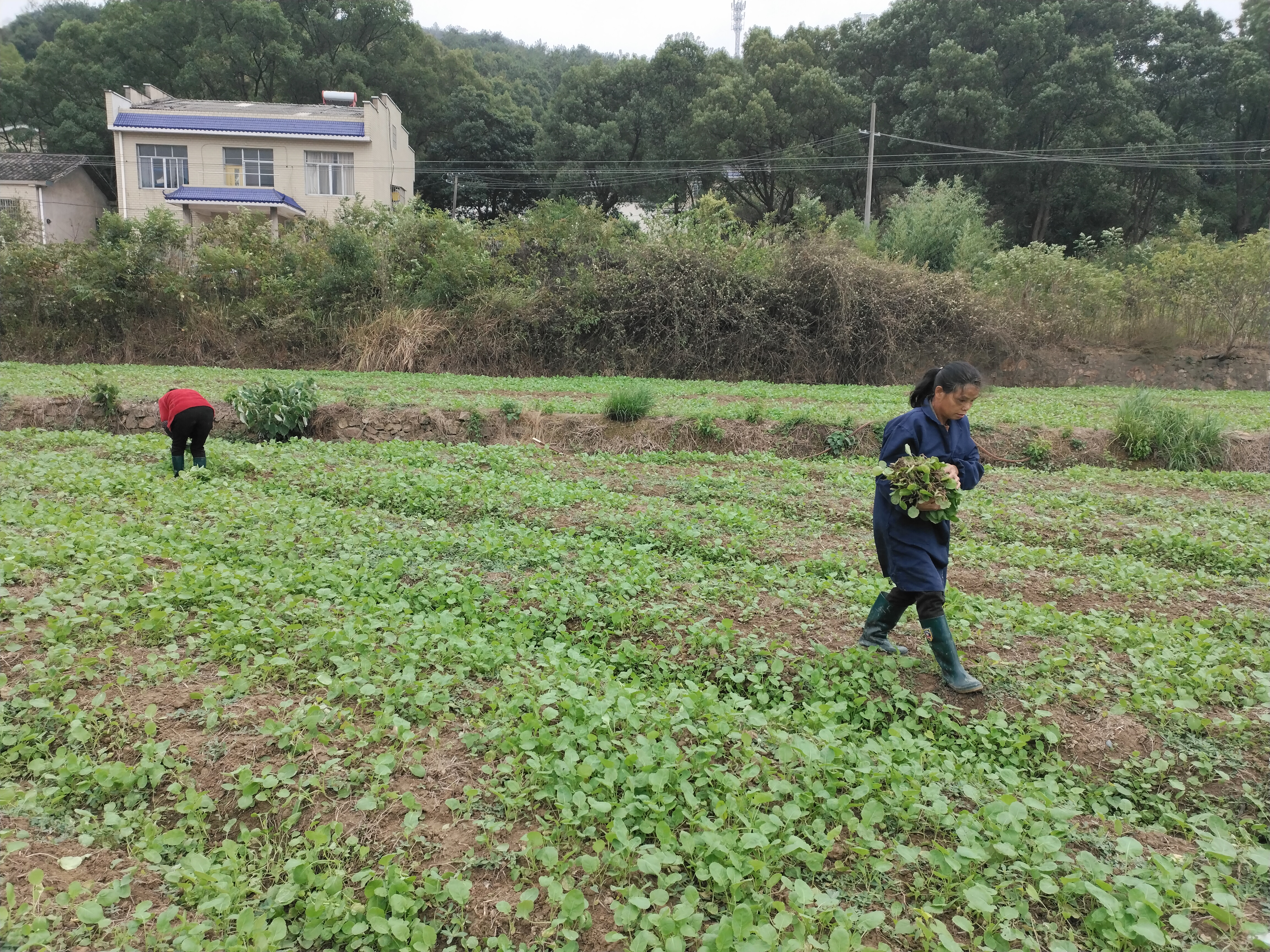 QQ图片20211012161834.jpg QQ图片20211012161834.jpg