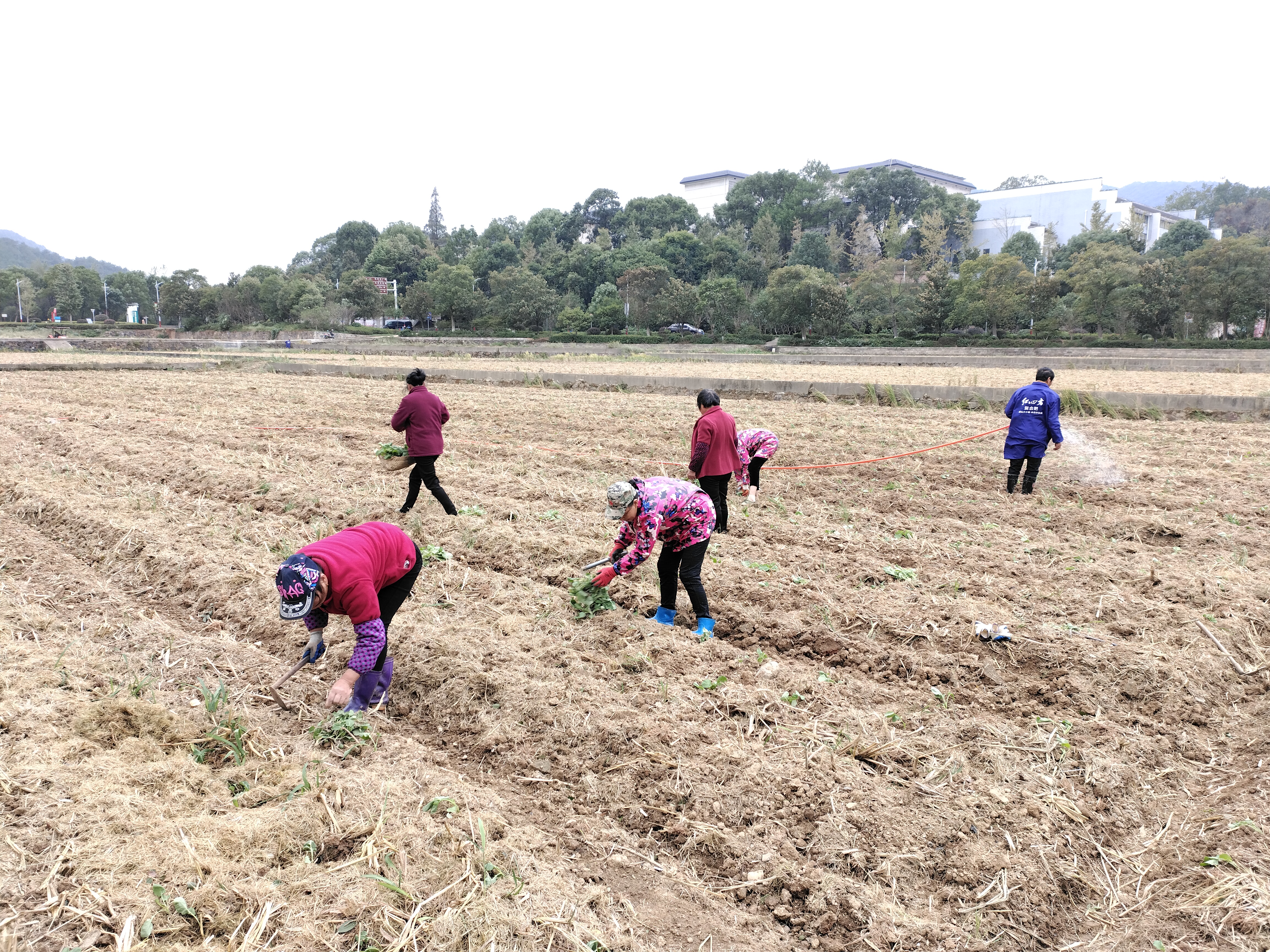 QQ图片20211012161839.jpg QQ图片20211012161839.jpg