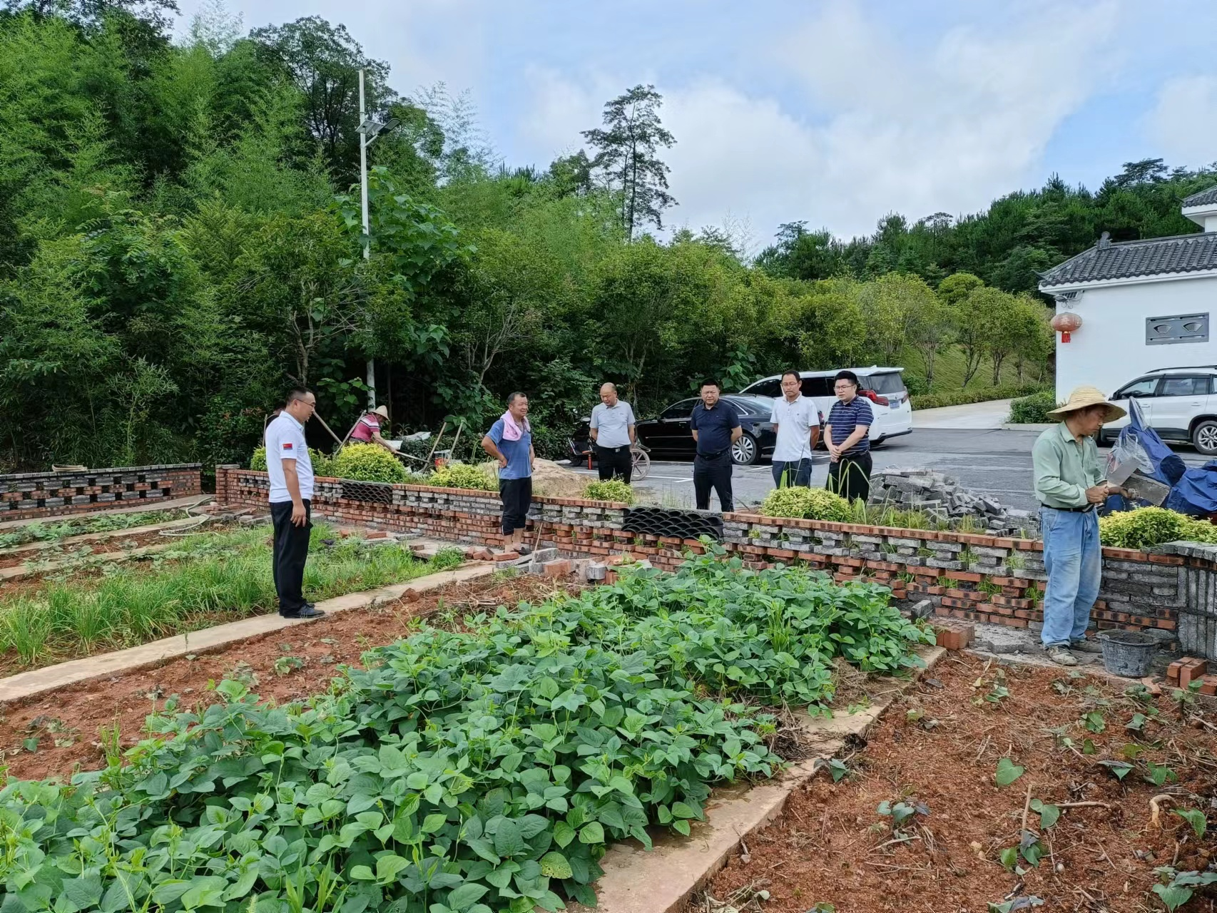 图片1.png 图片1.png