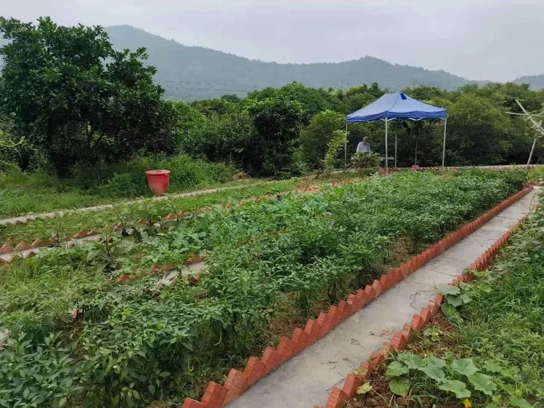 图片3.png 图片3.png