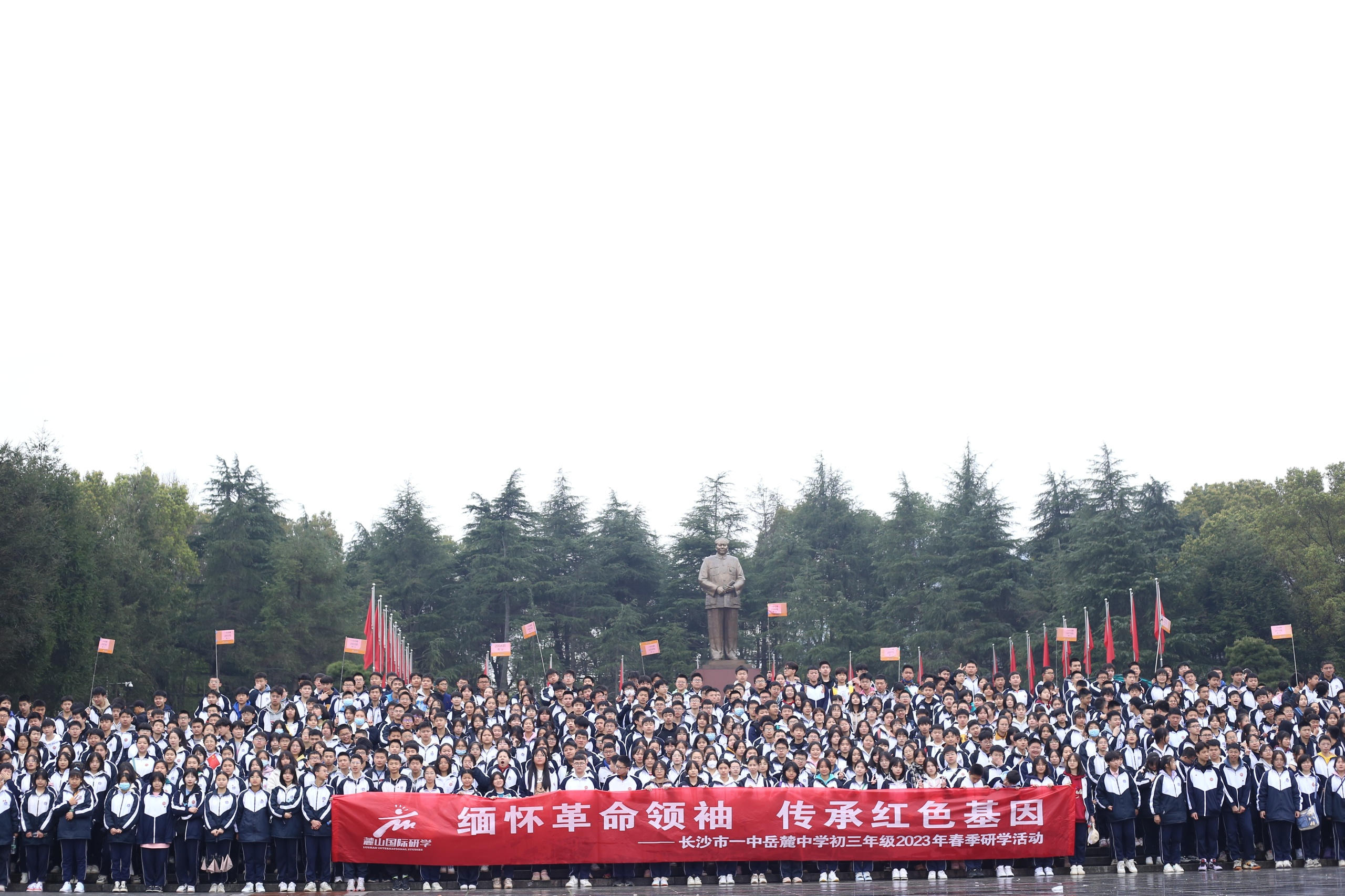 图片3.png
