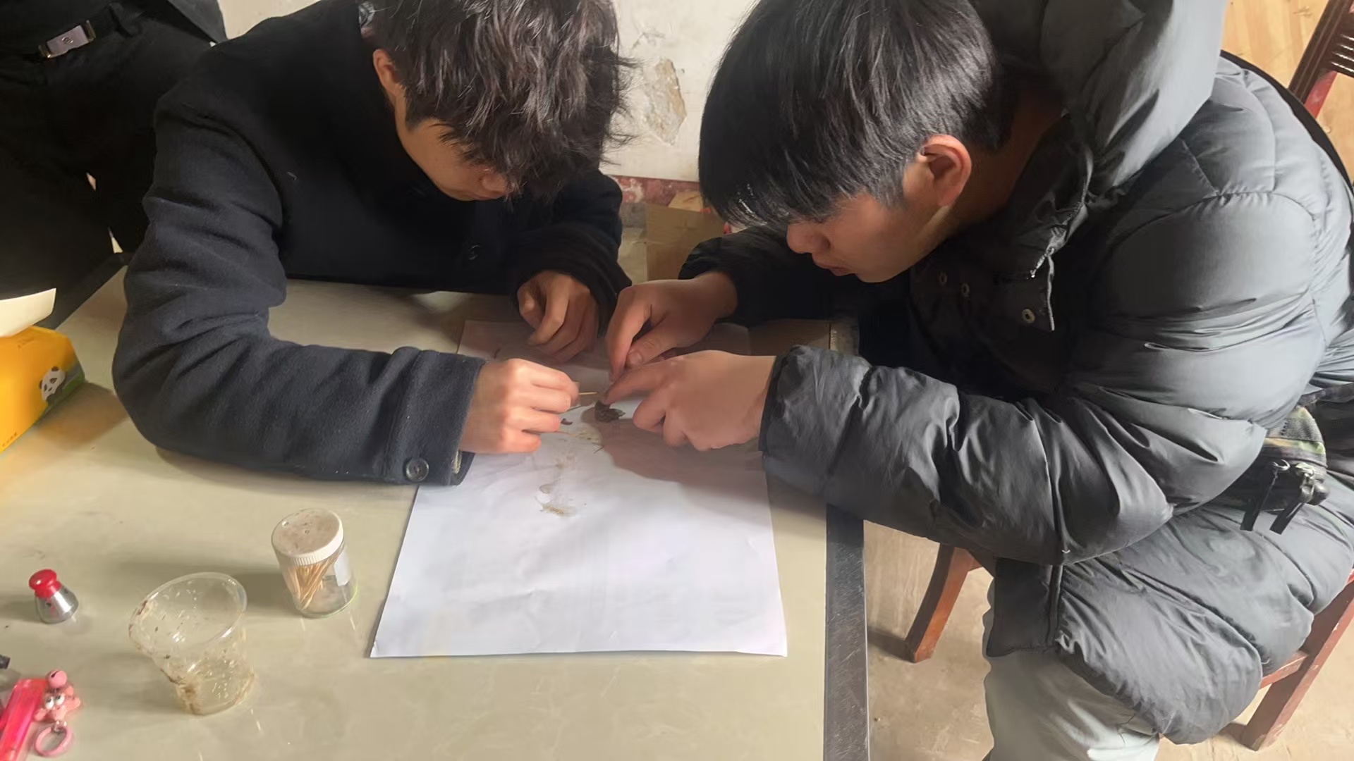 微信图片_20250303151015.jpg