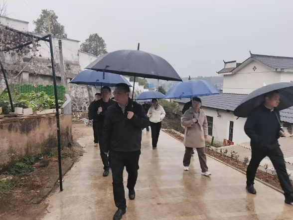 曹伟宏专题调度“稻梦银田”项目