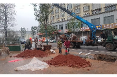 清溪镇：全域焕新迎旅发会