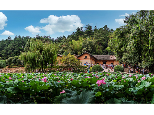 曹伟宏：充分发挥红色资源优势 勇闯县域发展新路子