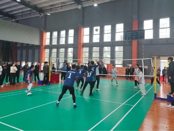 2025年韶山市气排球赛圆满落幕