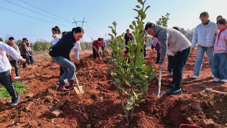 播种绿色希望  共建美丽校园