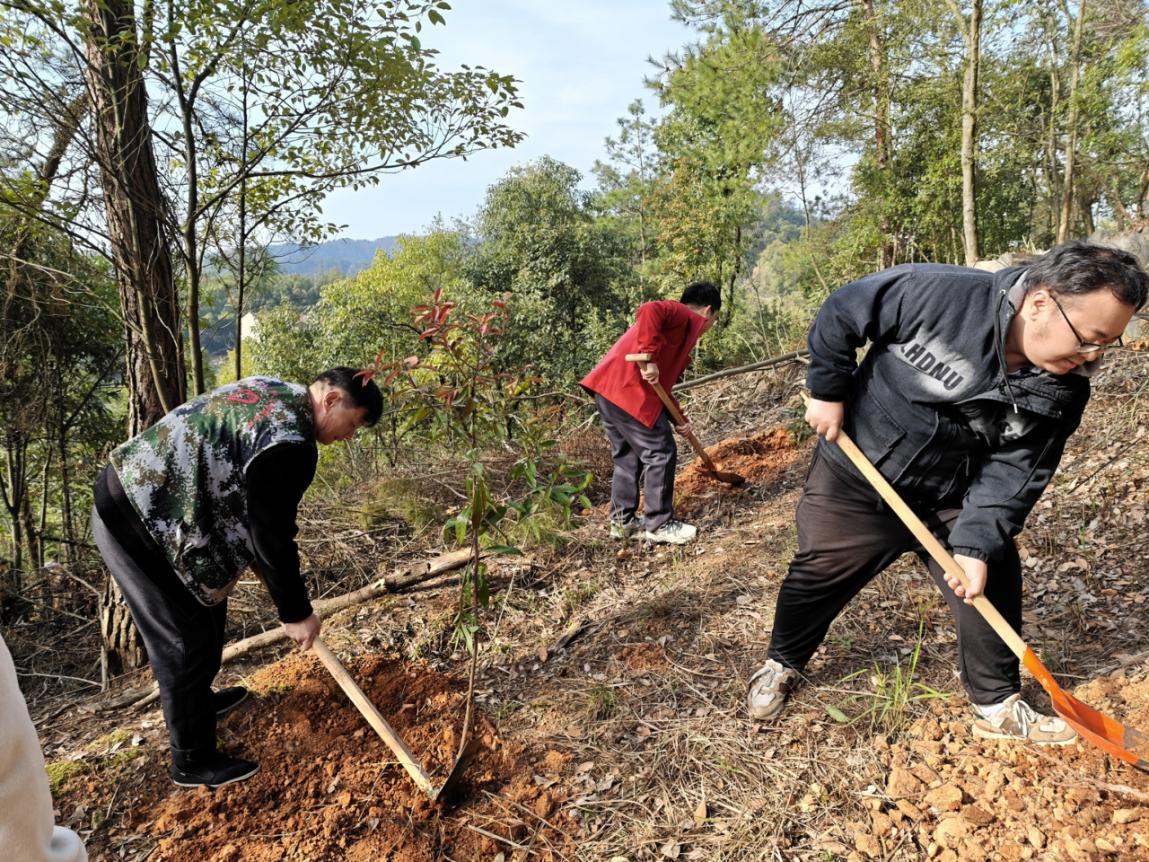 清溪镇：义务植树添新绿