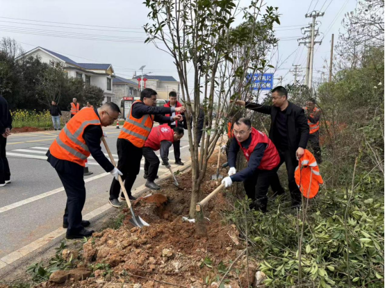 省、市公路交通部门联合开展义务植树活动  为韶山路域添新绿
