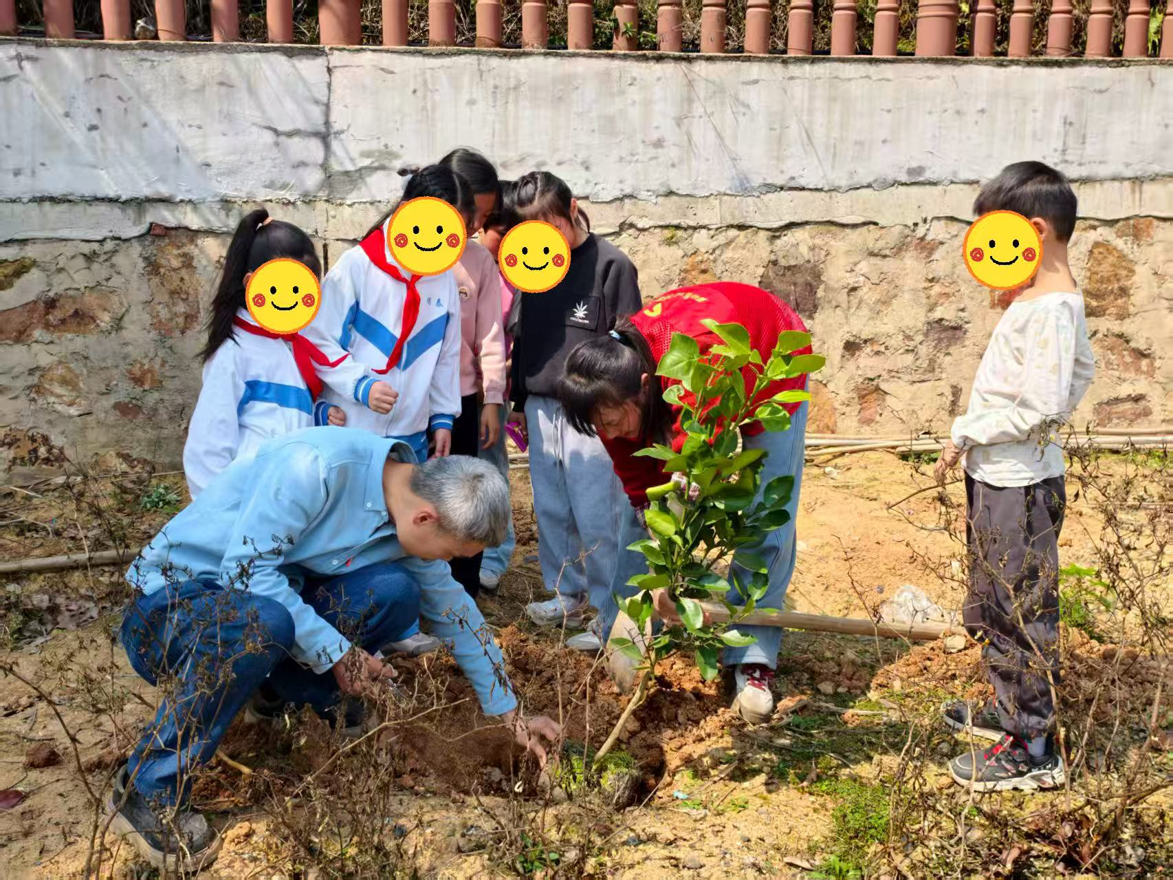 图片3.png 图片3.png