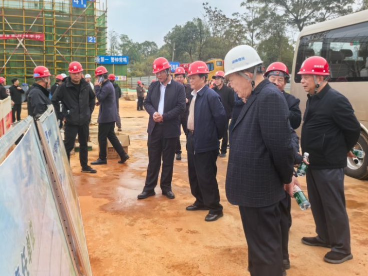 韶山市组织退休老干部视察重点项目