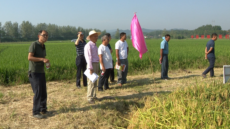 微信截图_20200907180030.png