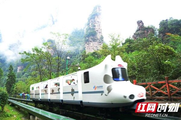 QQ图片20201009174131.jpg