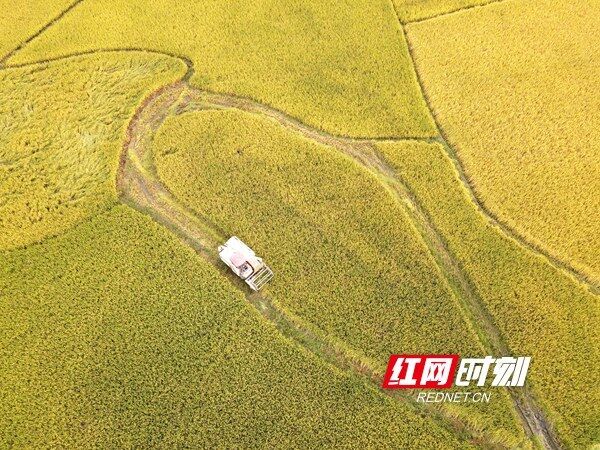 QQ图片20201022165238.jpg
