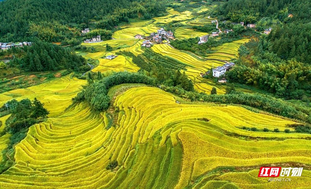 QQ图片20200918171807.jpg